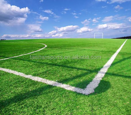 Terreno artificiale ad alta densità di altezza 55 mm certificato FIFA per campi da calcio a bassa manutenzione