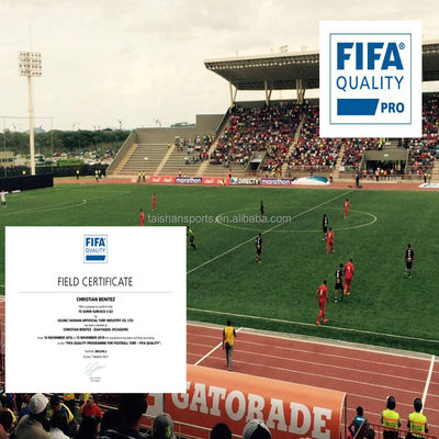 Erba artificiale da calcio verde con supporto in PP+LENO da 5/8" e rivestimento in lattice SBR