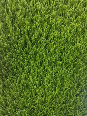 25mm Non-Infill Green Artificial Grass PP+PP Materiale di supporto PE Piccola sabbia Necessari buchi di drenaggio Corti di calcio Stadi non necessari gomma