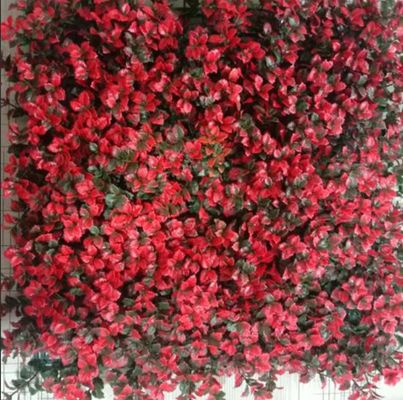 qualità  Artificial Wall Grass Natural Looking Low Maintenance Solution For Indoor Outdoor Spaces fabbrica