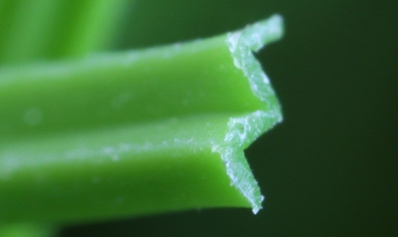 5500 Dtex Paesaggio artificiale erba finta per casa giardino scuola e asilo con grande resistenza ai raggi UV