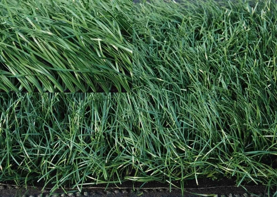 60 mm di erba sintetica per balcone 140 punti/M erba verde finta con calibro 5/8'