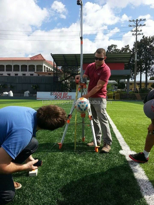 60mm per animali domestici Sport erba artificiale usata per lo sport Riempimento necessario con dimensioni di rotoli personalizzabili