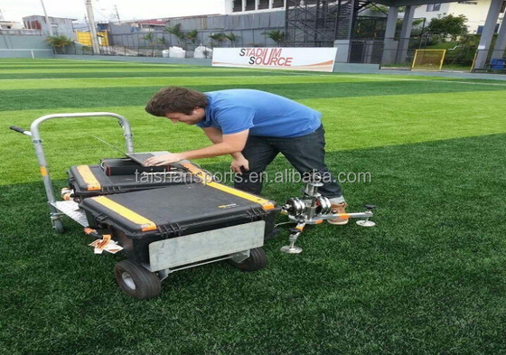 60mm per animali domestici Sport erba artificiale usata per lo sport Riempimento necessario con dimensioni di rotoli personalizzabili