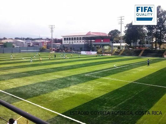 Terreno artificiale ad alta densità di altezza 55 mm certificato FIFA per campi da calcio a bassa manutenzione