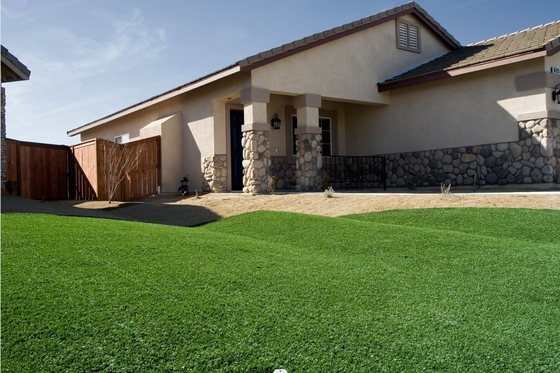 Grass artificiale personalizzabile per il calcio 12000 Dtex a bassa manutenzione per animali domestici Parco giochi e sport all'aria aperta