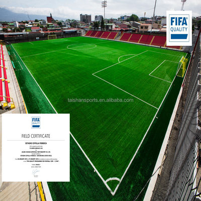 Erba artificiale da calcio verde con supporto in PP+LENO da 5/8" e rivestimento in lattice SBR