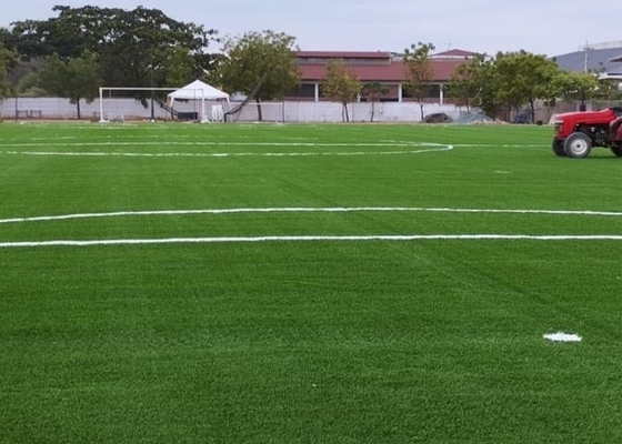 50 mm di calcio di erba artificiale 160 punti/M di erba finta per campi da calcio e attività all'aperto con poca manutenzione