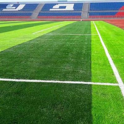 Fifa approvato resistente agli UV 50 mm altezza del palo di calcio erba artificiale con alta densità e bassa manutenzione