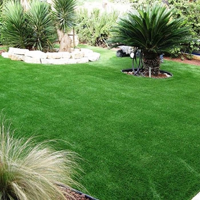 30MM di erba artificiale verde non infill utilizzata per animali domestici o giardini sul tetto con resistenza ai raggi UV e buona elasticità