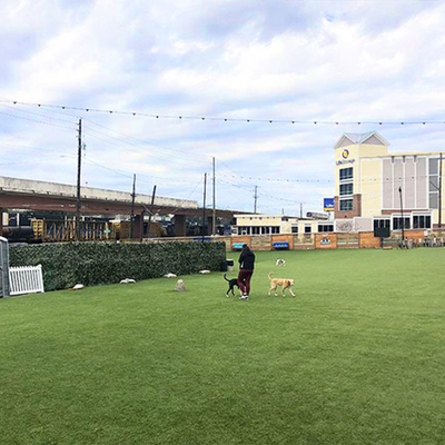 Terreno artificiale per giochi Terreno artificiale adesivo in PU da 43 mm per campi sportivi e aree pubbliche