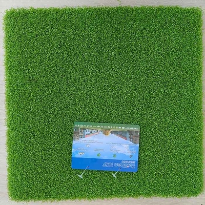 Dtex 8000 Golf erba artificiale e basso mantenimento 15mm Sport erba artificiale ad alta densità