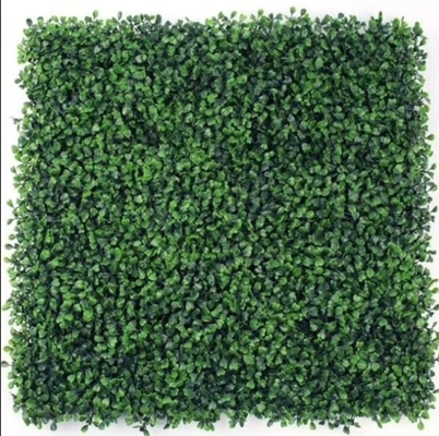 50cm*50cm Dimensione Erba artificiale per pareti resistente ai raggi UV durevole e duratura Appello estetico