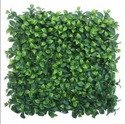 50cm*50cm Dimensione Parete di erba artificiale Facile installazione Ottime prestazioni Bassa manutenzione