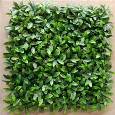 Pannelli di erba artificiale in PE Eco-friendly per la decorazione delle stanze e l'abbellimento dei caffè