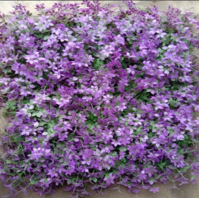 50cm*50cm Dimensione Erba artificiale per pareti Durabilità forte Drenaggio veloce Per decorazione ed abbellimento