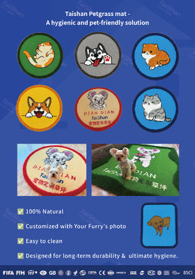 Erba artificiale con colori personalizzabili resistenti ai raggi UV per asili nido e animali domestici con bassa manutenzione