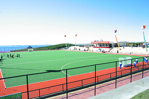 Tesoure artificiali di alta densità di 18 mm con grande resistenza agli UV per golf e hockey