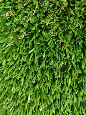 Non riempire erba artificiale verde lattice trasparente 30 mm materiale PE&PP poca sabbia buchi di drenaggio necessari