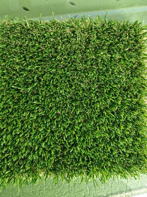 Erba Sintetica Senza Riempimento con Altezza Pelo 30mm e Lattice Trasparente per Campi Sportivi 12400 Dtex Bassa Manutenzione