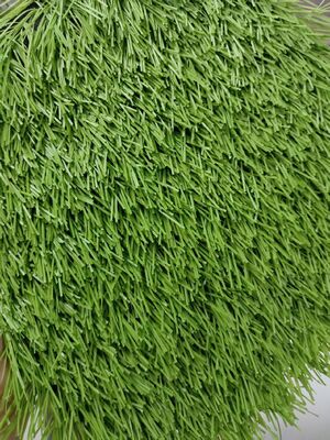 50mm Erba Artificiale Sportiva Calcio Baseball Stadi Sportivi Parco Giochi Resistenza UV Bassa Manutenzione