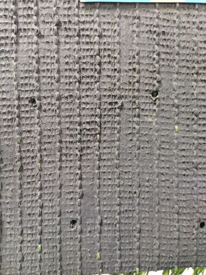 Erba sintetica certificata FIFA da 40 mm di altezza del pelo, resistente ai raggi UV, per campi sportivi e stadi