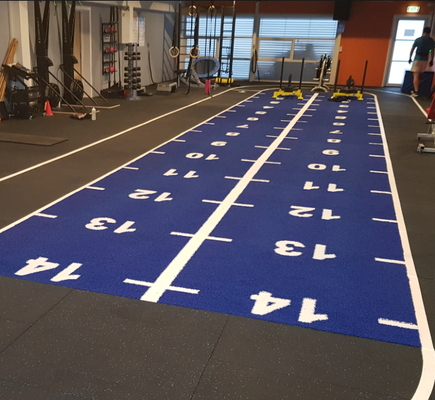 16 mm di altezza del palo di slitta con colore personalizzato e resistenza ai raggi UV per il fitness in palestra