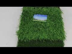 Tappeto erboso artificiale di calcio