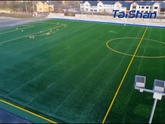 Tappeto erboso da calcio certificato FIFA