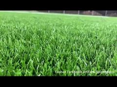 Nuovo progetto Taishan Belize Artiifical Sports turf